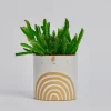 Medium Pot with Drainage Hole in White / Rainbow by Atelier Stella