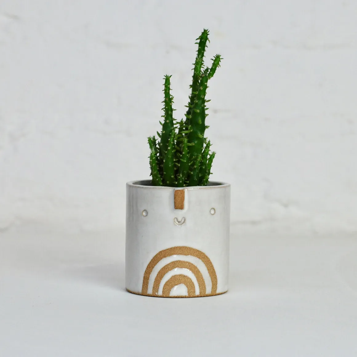 Mini Succulent Pot in White / Rainbow by Atelier Stella