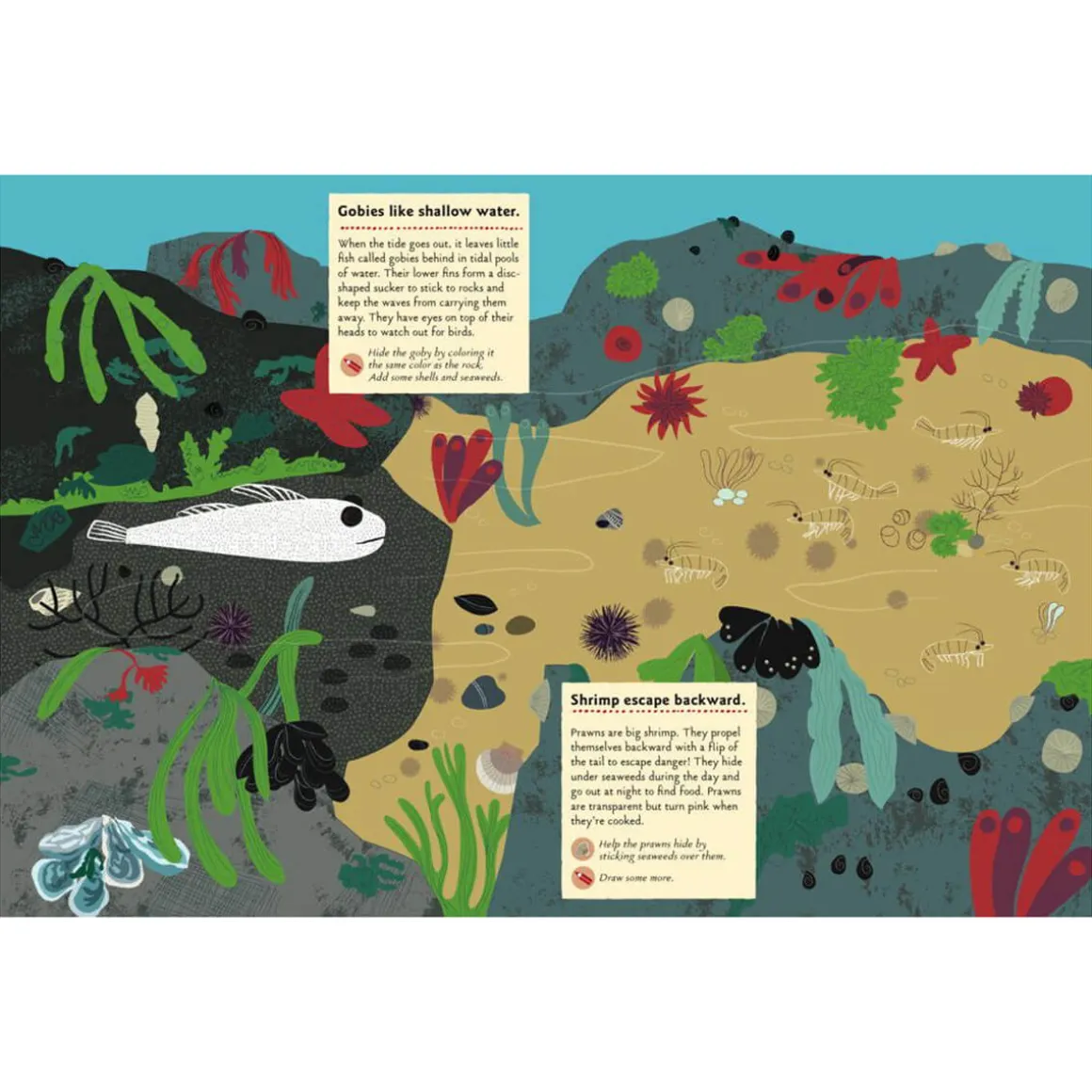 My Nature Sticker Activity Book: At The Seashore by Olivia Cosneau