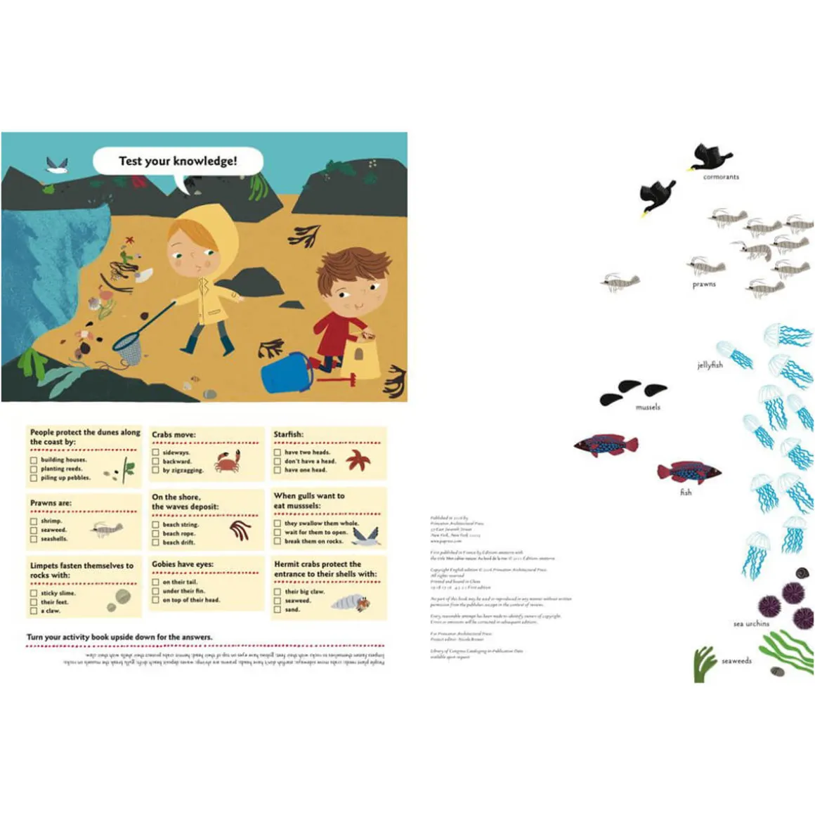 My Nature Sticker Activity Book: At The Seashore by Olivia Cosneau