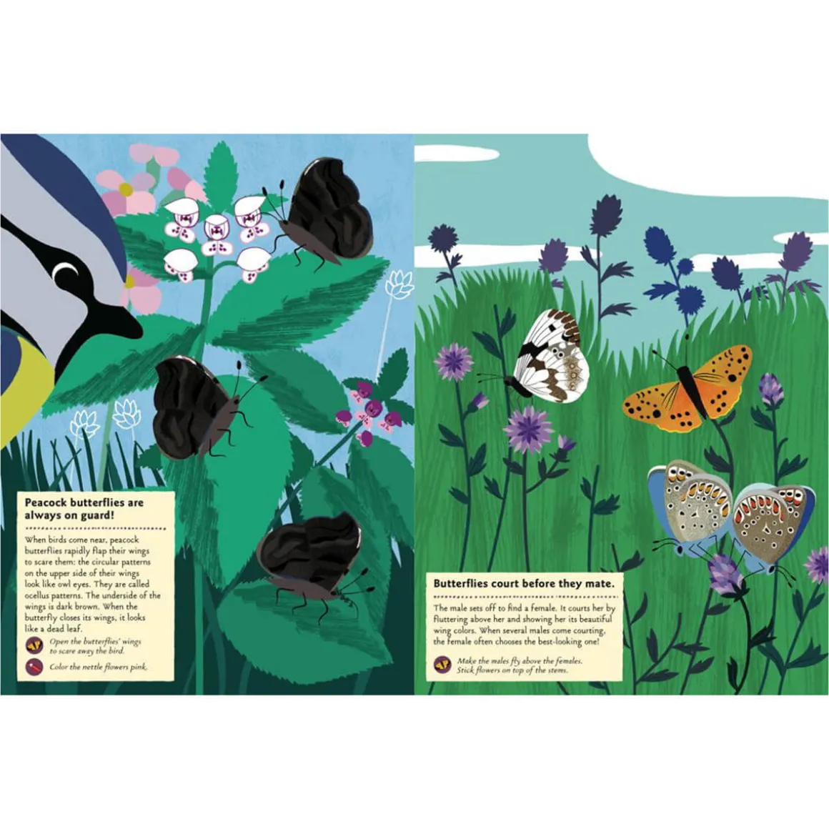 My Nature Sticker Activity Book: Butterflies of the World by Olivia Cosneau