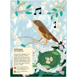 My Nature Sticker Activity Book: Birds of the World by Olivia Cosneau