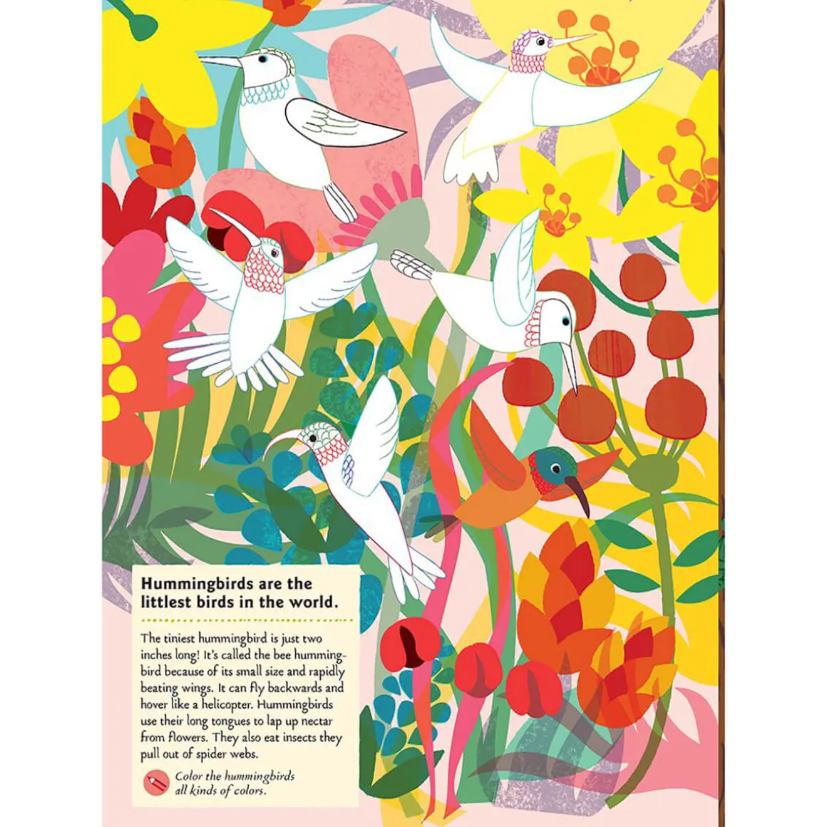 My Nature Sticker Activity Book: Birds of the World by Olivia Cosneau