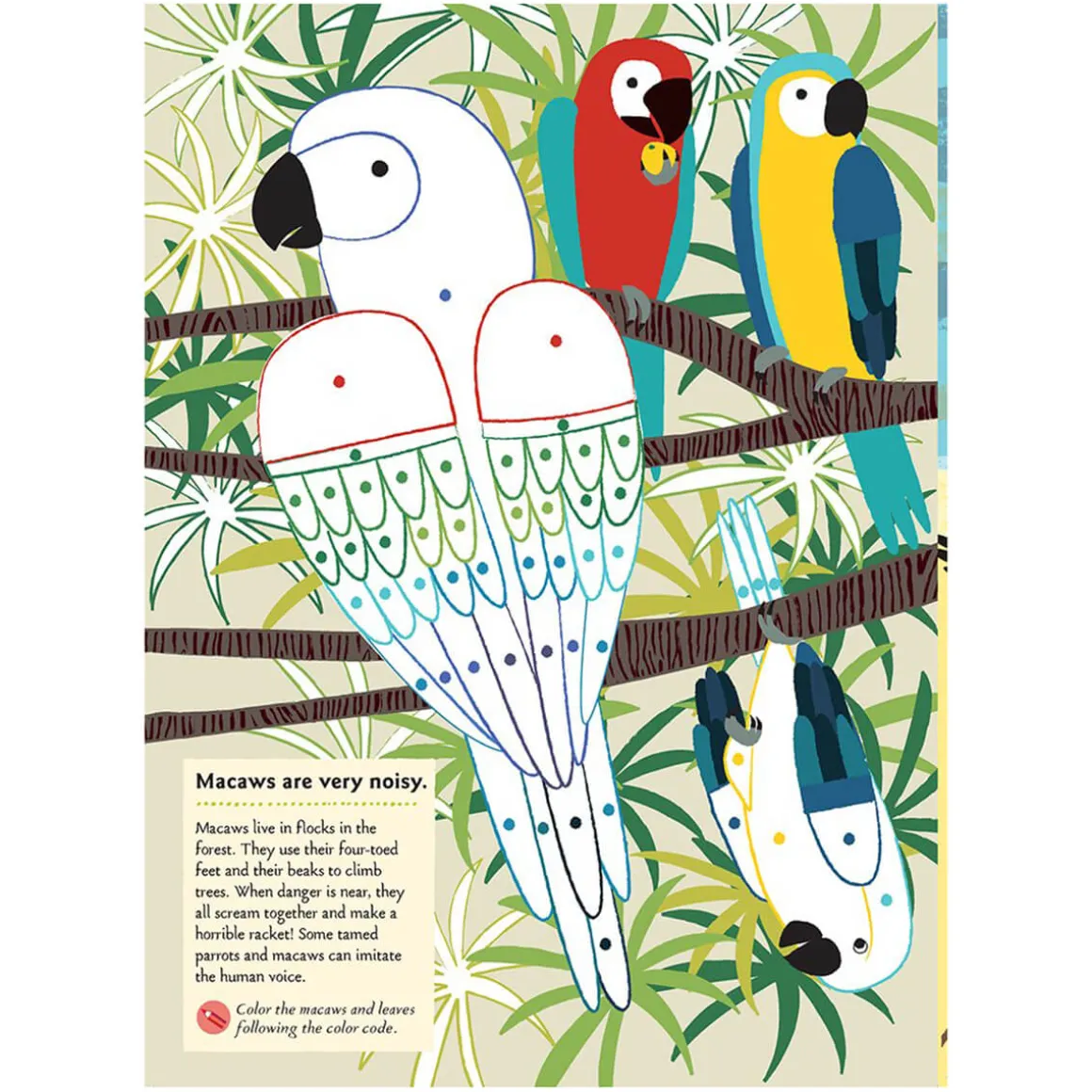 My Nature Sticker Activity Book: Birds of the World by Olivia Cosneau