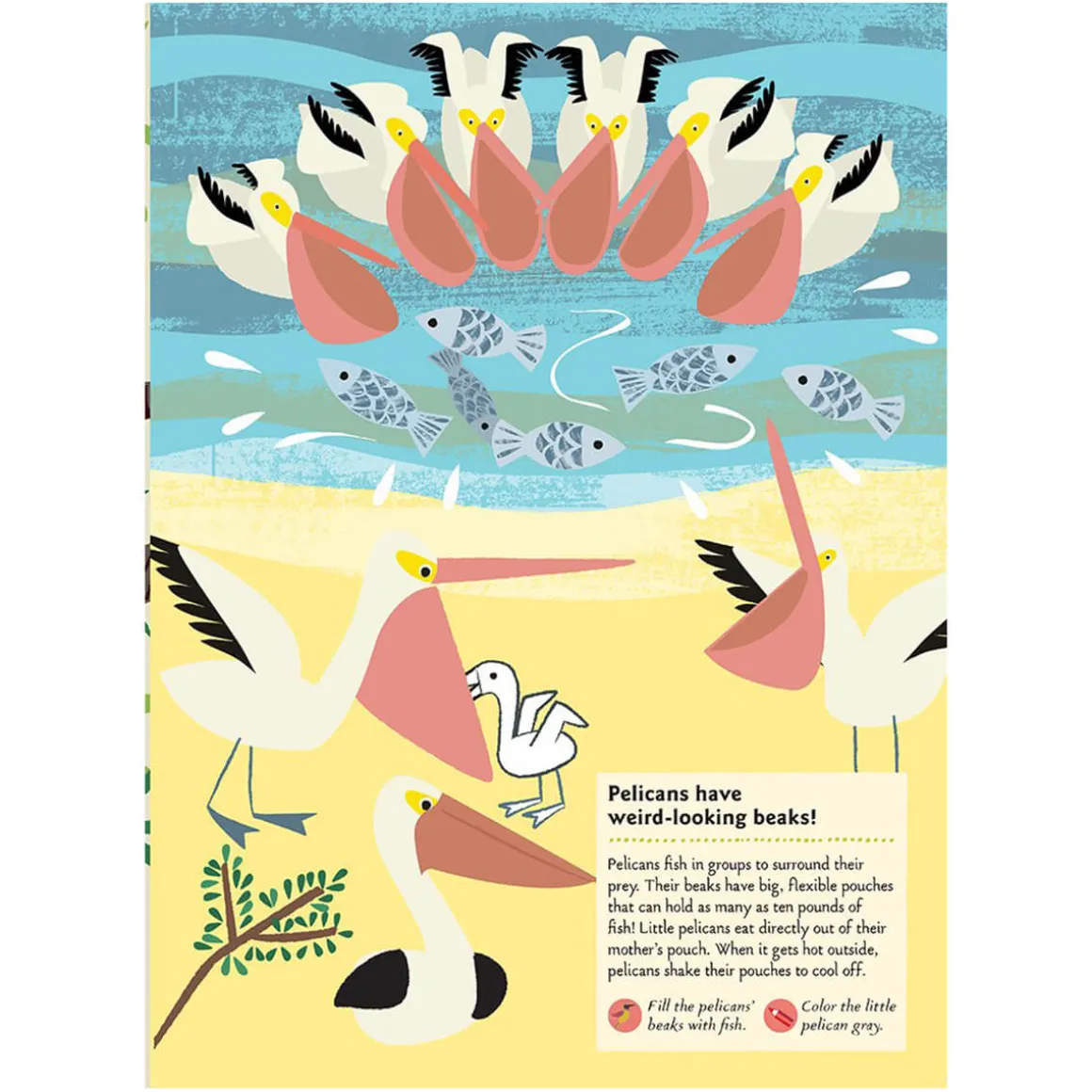 My Nature Sticker Activity Book: Birds of the World by Olivia Cosneau