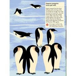 My Nature Sticker Activity Book: Birds of the World by Olivia Cosneau