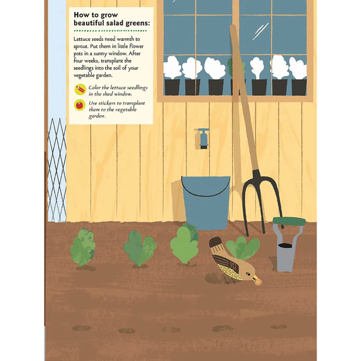 My Nature Sticker Activity Book: In the Vegetable Garden by Olivia Cosneau