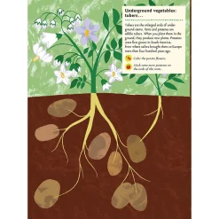 My Nature Sticker Activity Book: In the Vegetable Garden by Olivia Cosneau