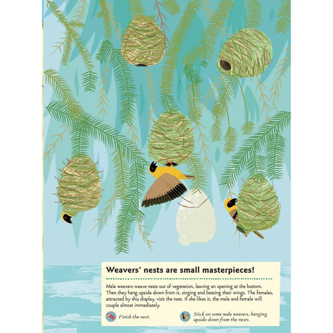 My Nature Sticker Activity Book: Animals Of The Savannah by Olivia Cosneau