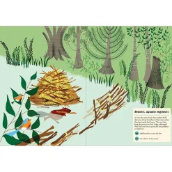 My Nature Sticker Activity Book: Inventive Animals by Olivia Cosneau