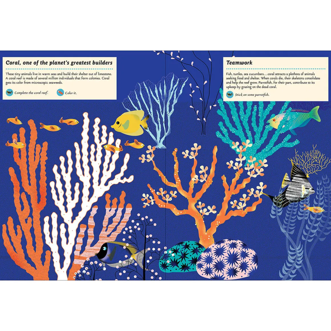 My Nature Sticker Activity Book: Inventive Animals by Olivia Cosneau