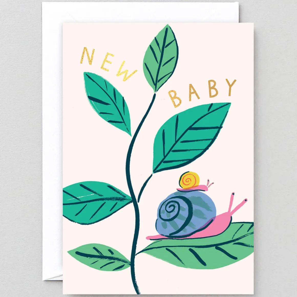 New Baby Snails Greetings Card by Charlotte Trounce for Wrap