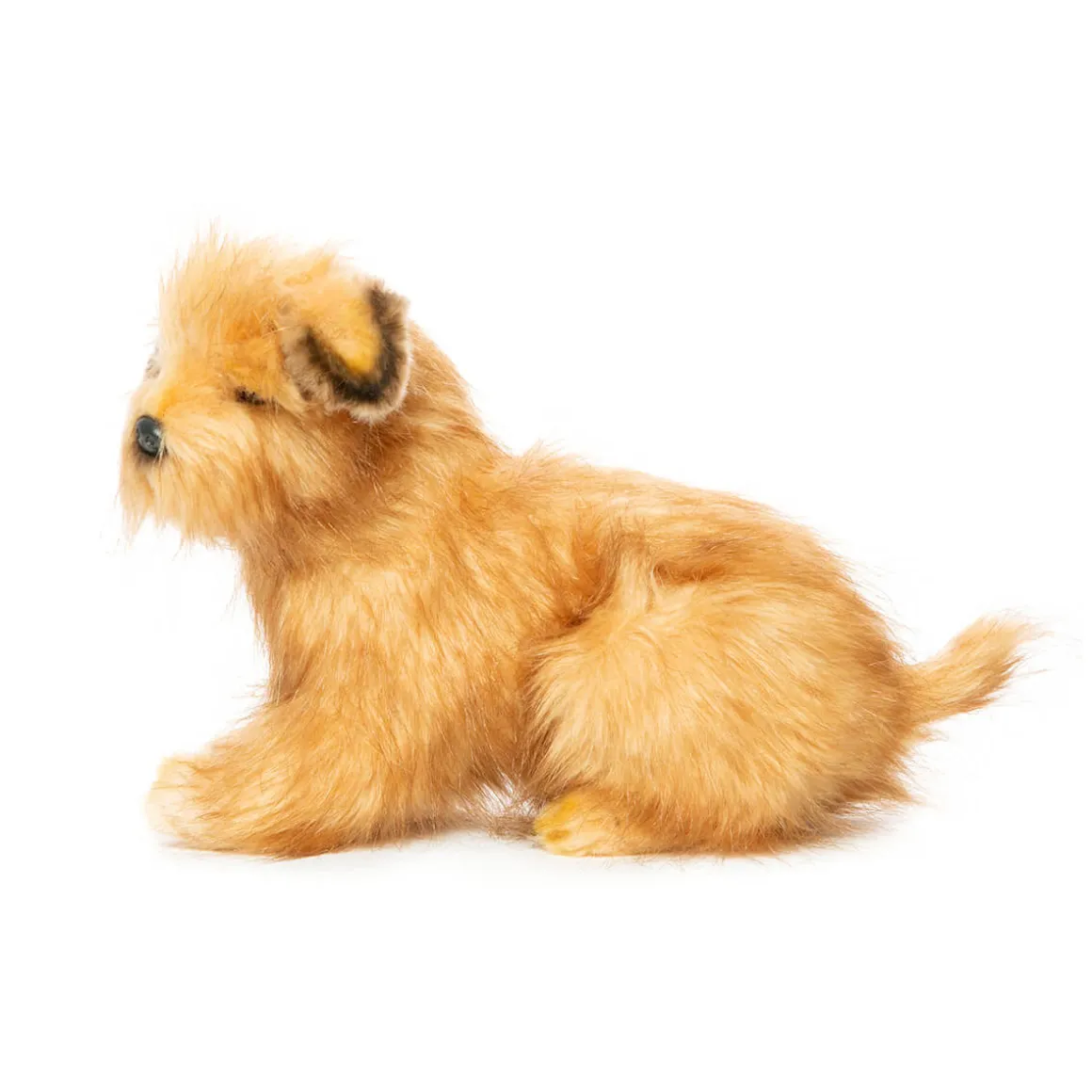 Norfolk Terrier (32cm) by Hansa