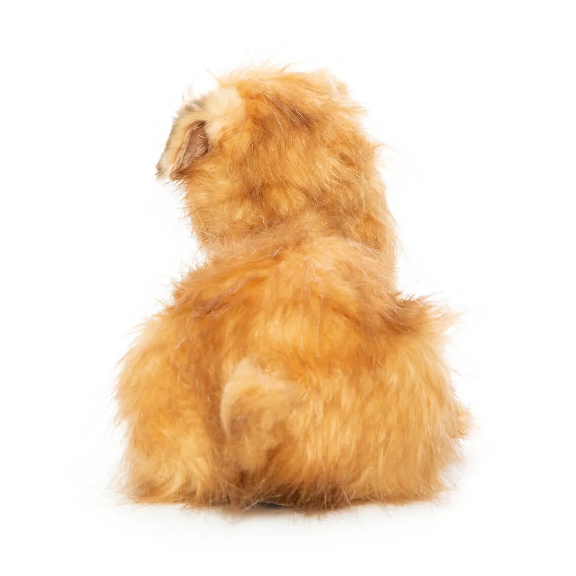 Norfolk Terrier (32cm) by Hansa