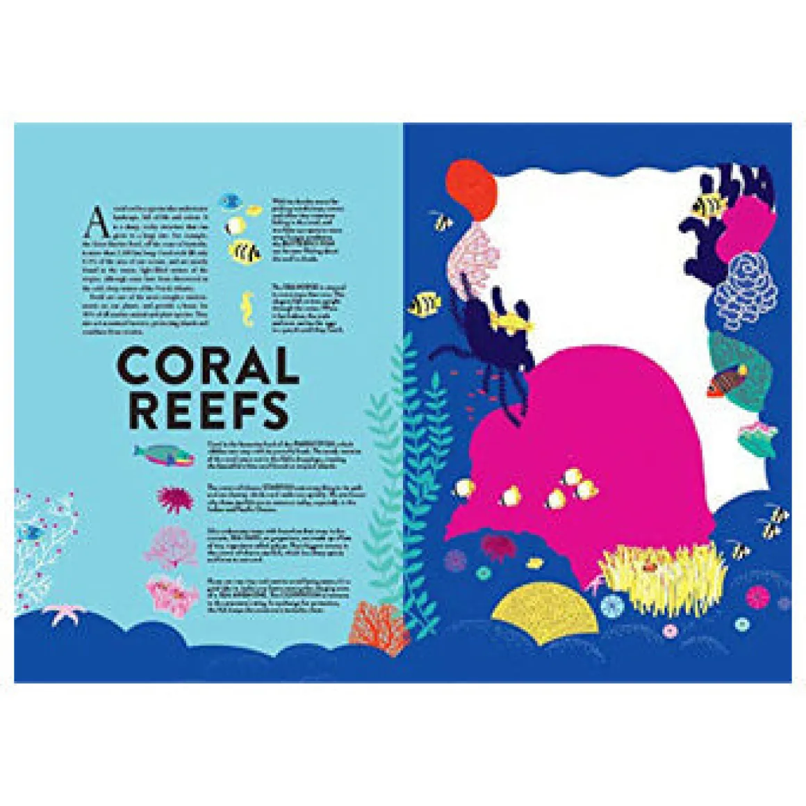 Ocean by Hélène Druvert & Emmanuelle Grundmann