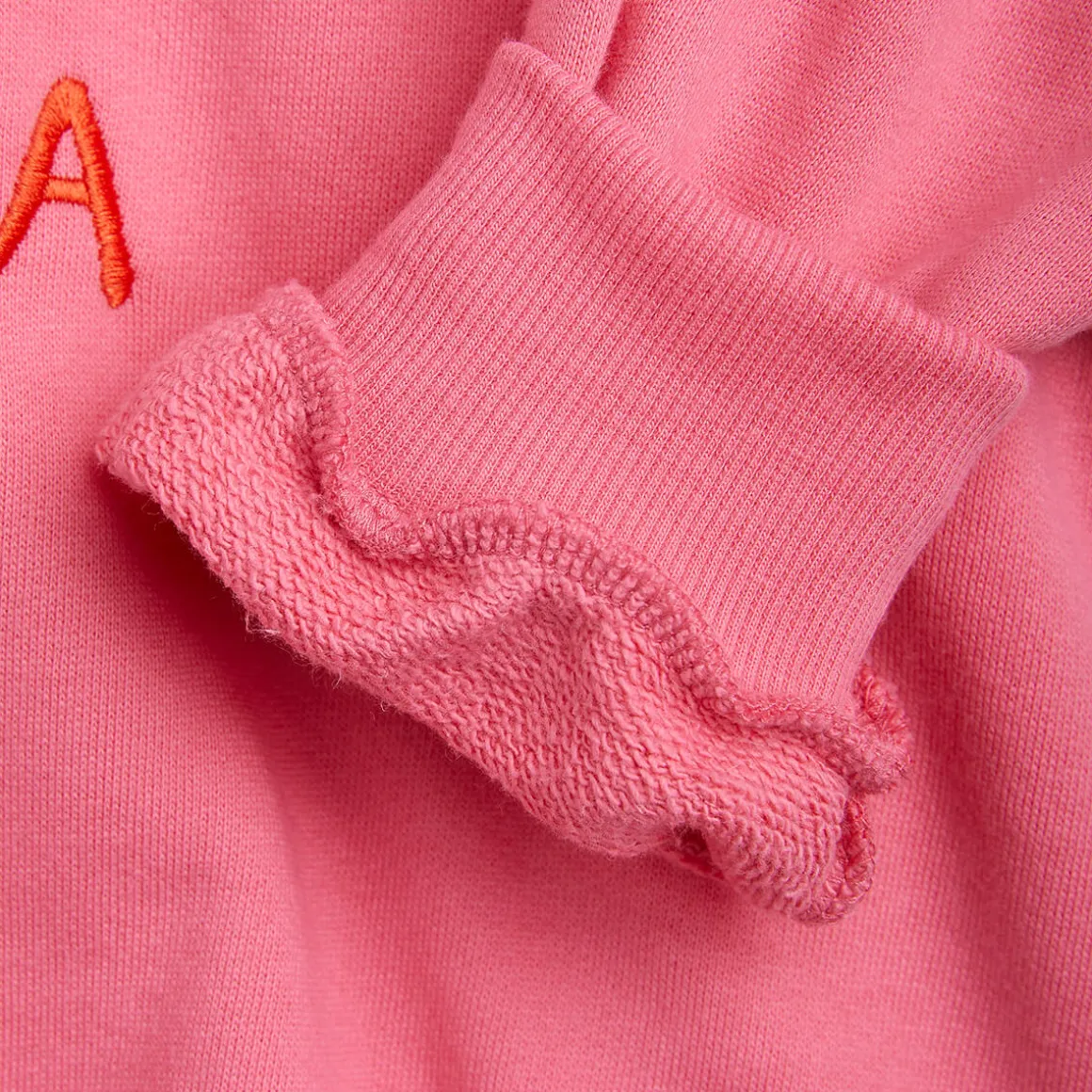 Parrot Embroidered Sweatshirt in Pink by Mini Rodini