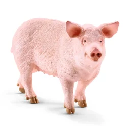 Pig by Schleich