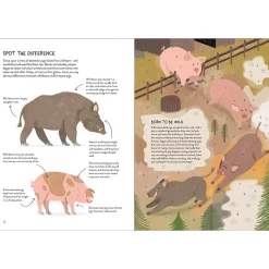 Pigology: The Ultimate Encyclopedia by Camilla Pintonato and Daisy Bird