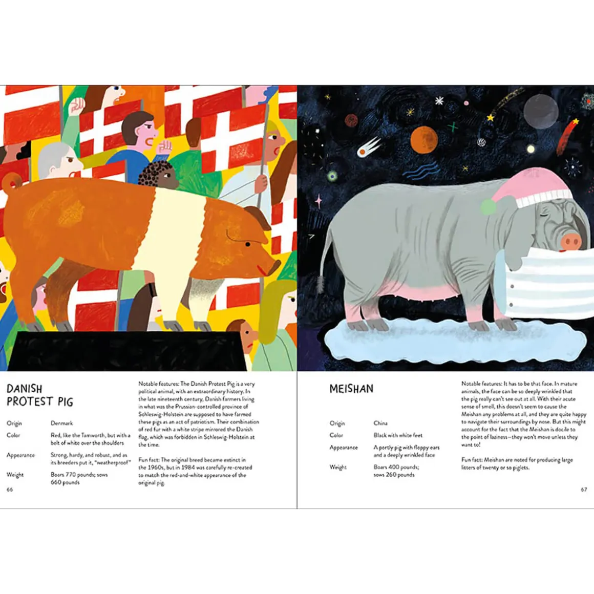 Pigology: The Ultimate Encyclopedia by Camilla Pintonato and Daisy Bird