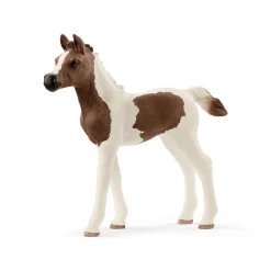 Pintabian Foal by Schleich