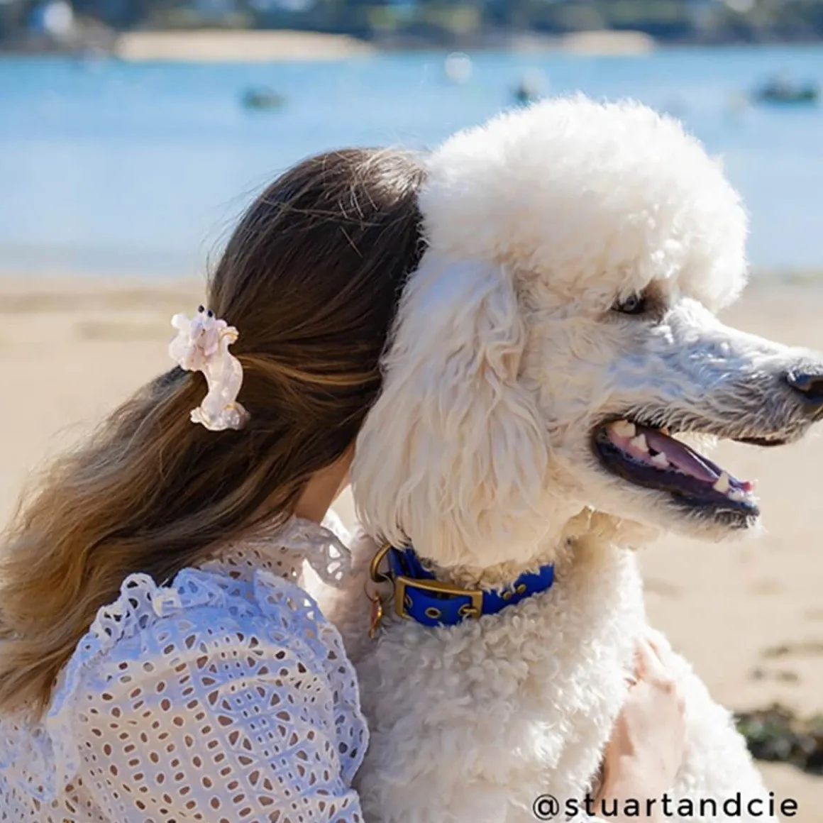Poodle Hair Claw by Coucou Suzette