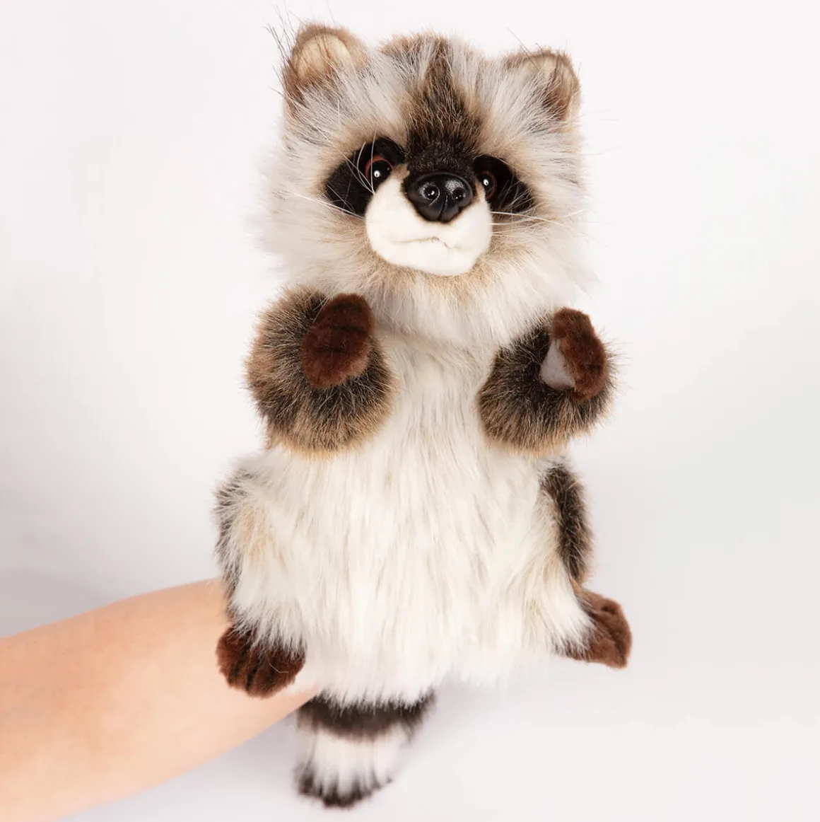 Raccoon Hand Puppet (50cm) by Hansa