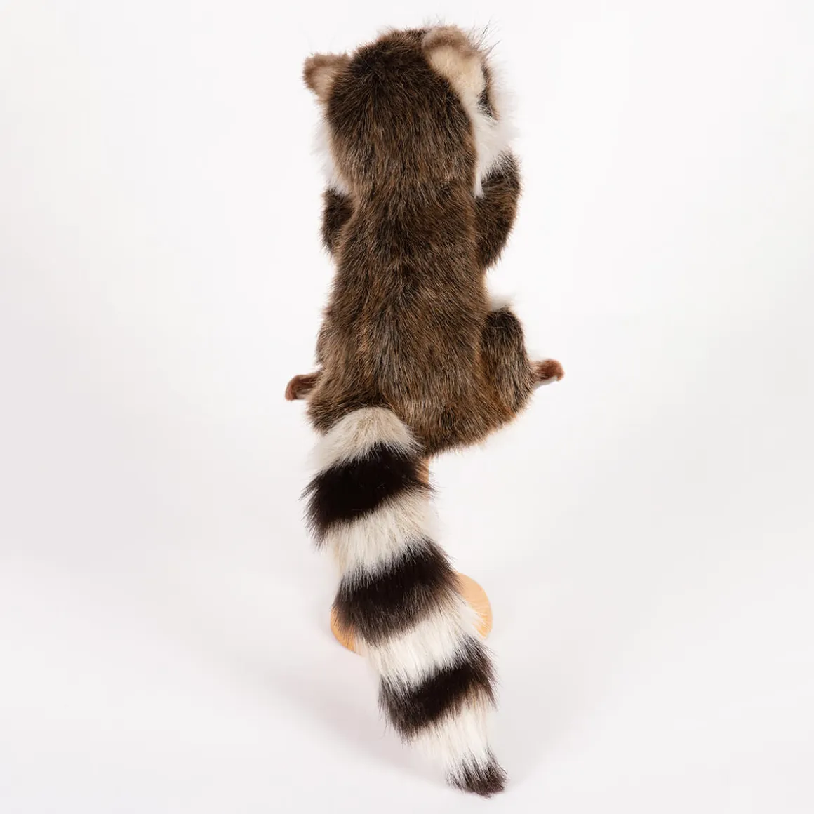 Raccoon Hand Puppet (50cm) by Hansa