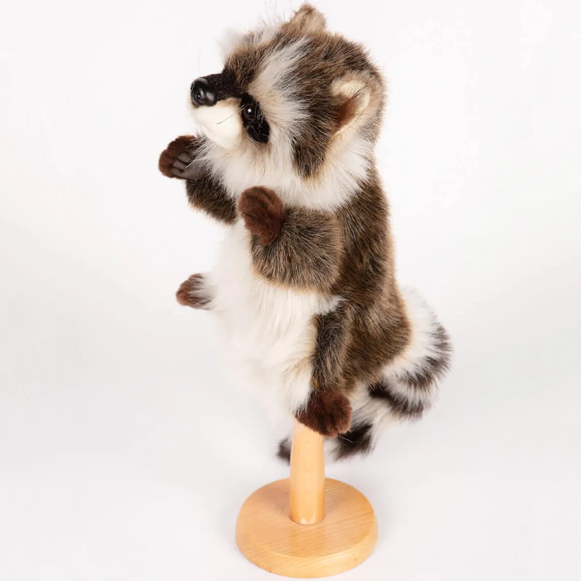 Raccoon Hand Puppet (50cm) by Hansa