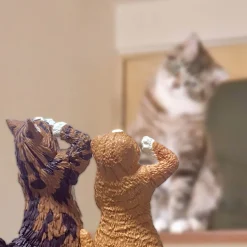Salute Cat Blind Box by Yell Japan