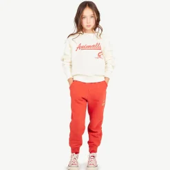Shark Kids Sweatshirt in White by The Animals Observatory - Last One In Stock - 8 Years
