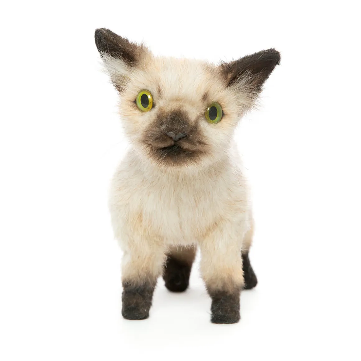 Siamese Kitten (33cm) by Hansa