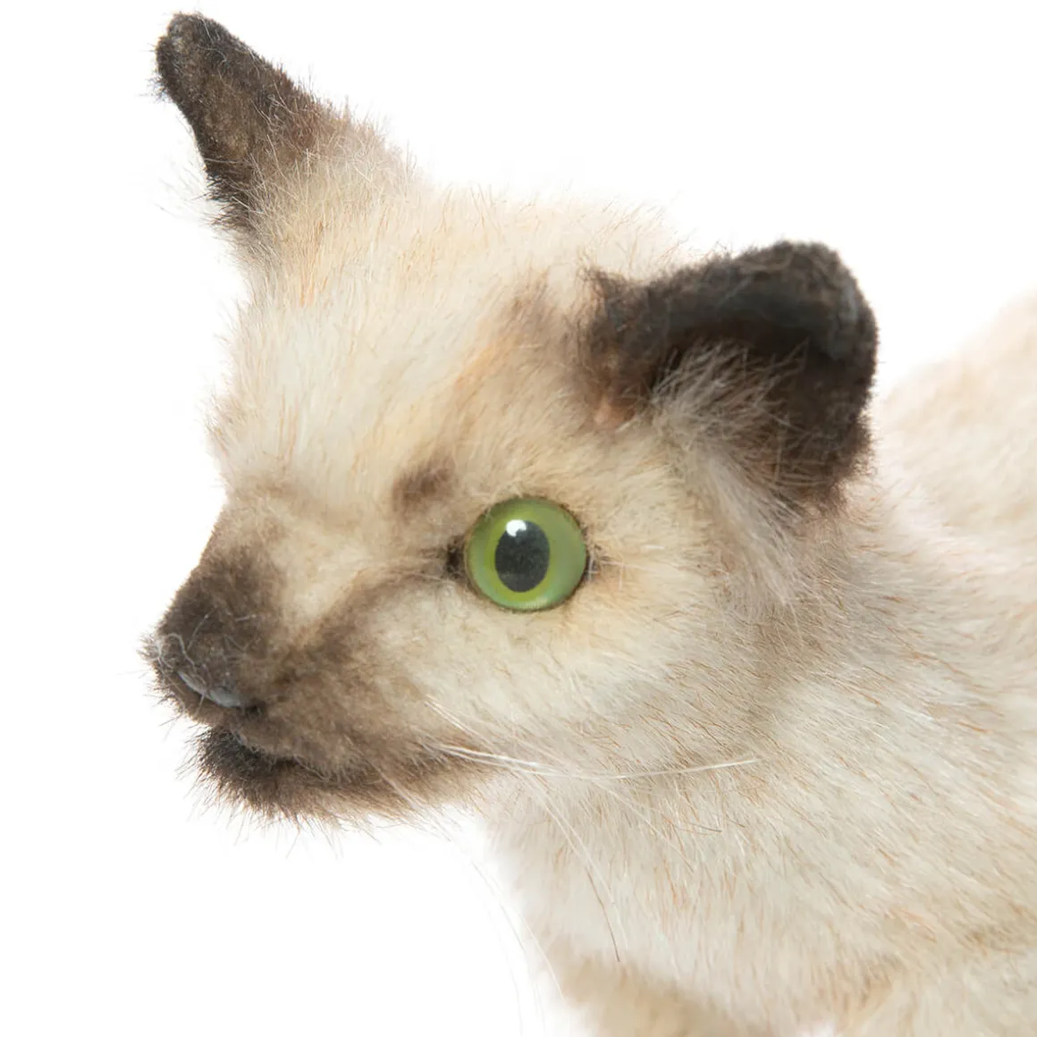 Siamese Kitten (33cm) by Hansa