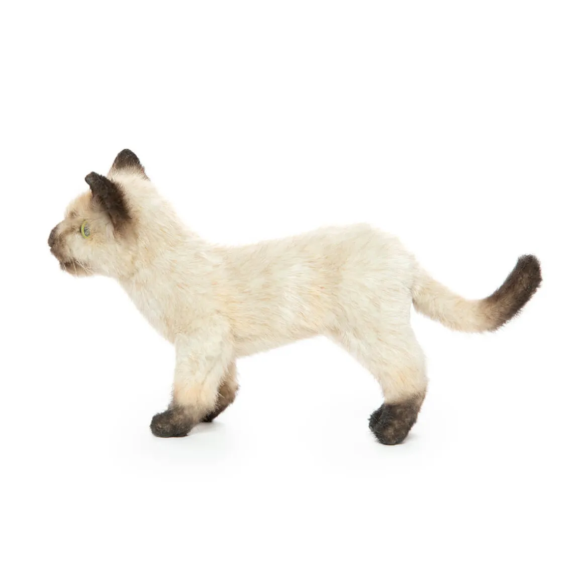 Siamese Kitten (33cm) by Hansa