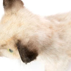 Siamese Kitten (33cm) by Hansa