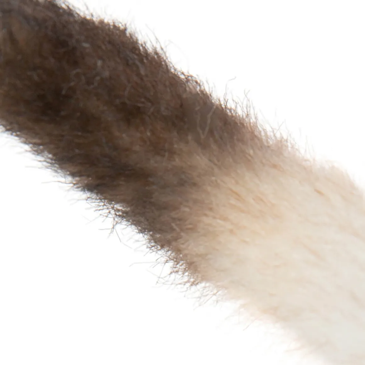 Siamese Kitten (33cm) by Hansa