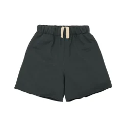 Skate Short in Dark Shadow by Main Story