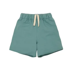 Skate Short in Smoke Blue by Main Story