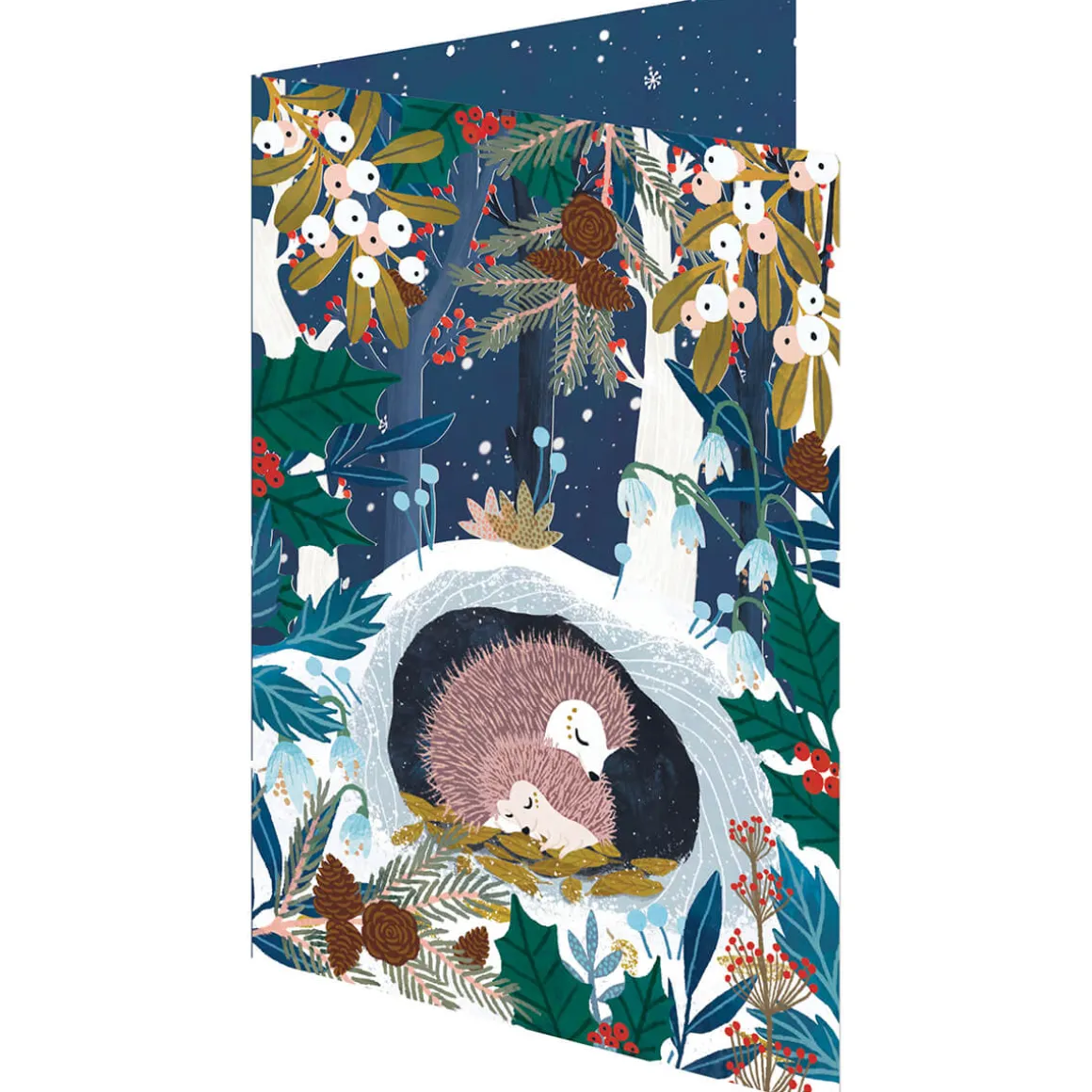 Sleeping Hedgehogs Laser Cut Christmas Greetings Card By Roger La Borde