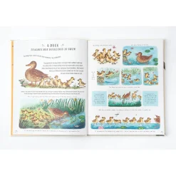 Slow Down: Bring Calm to a Busy World with 50 Nature Stories by Rachel Williams and Freya Hartas