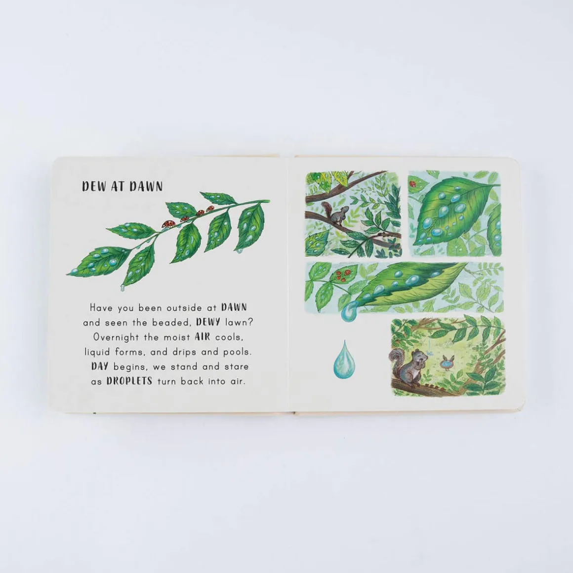 Slow Down… Discover Nature On Your Doorstep by Freya Hartas