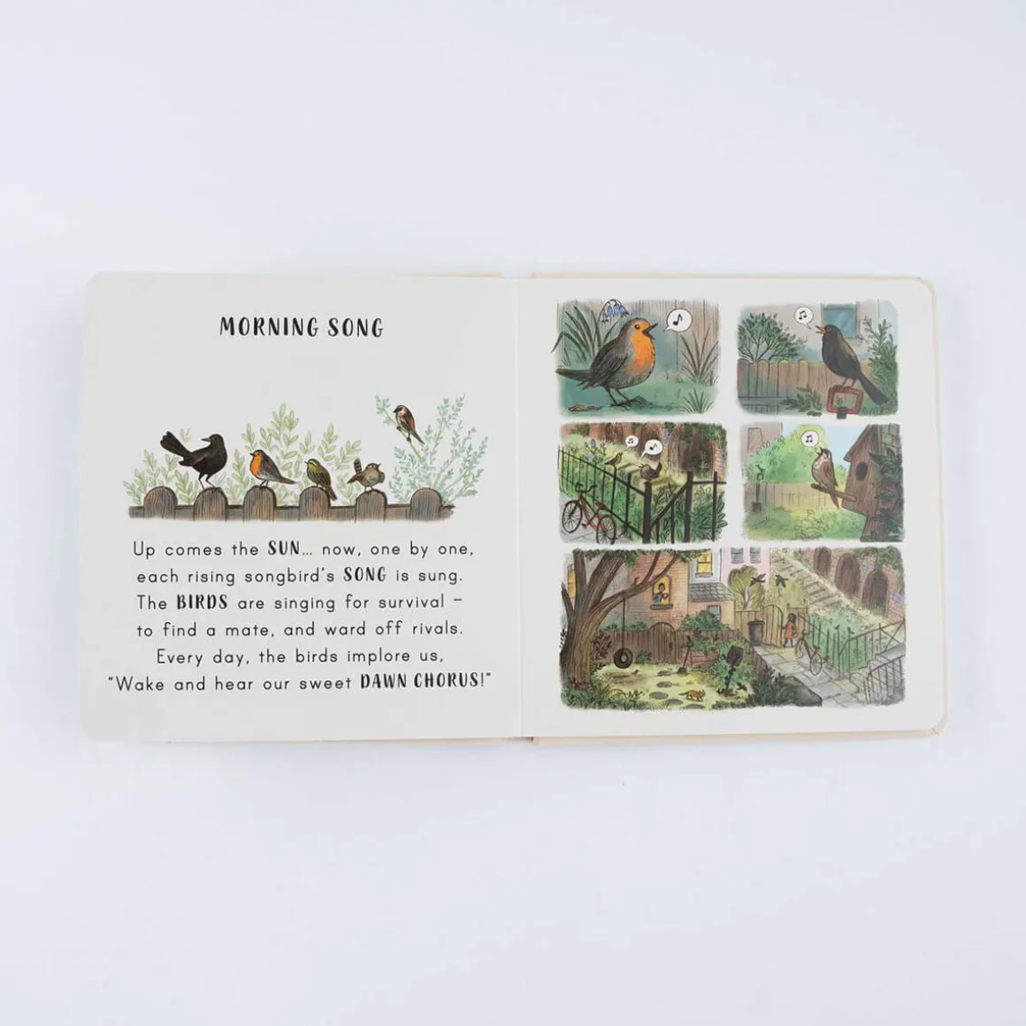 Slow Down… Discover Nature On Your Doorstep by Freya Hartas