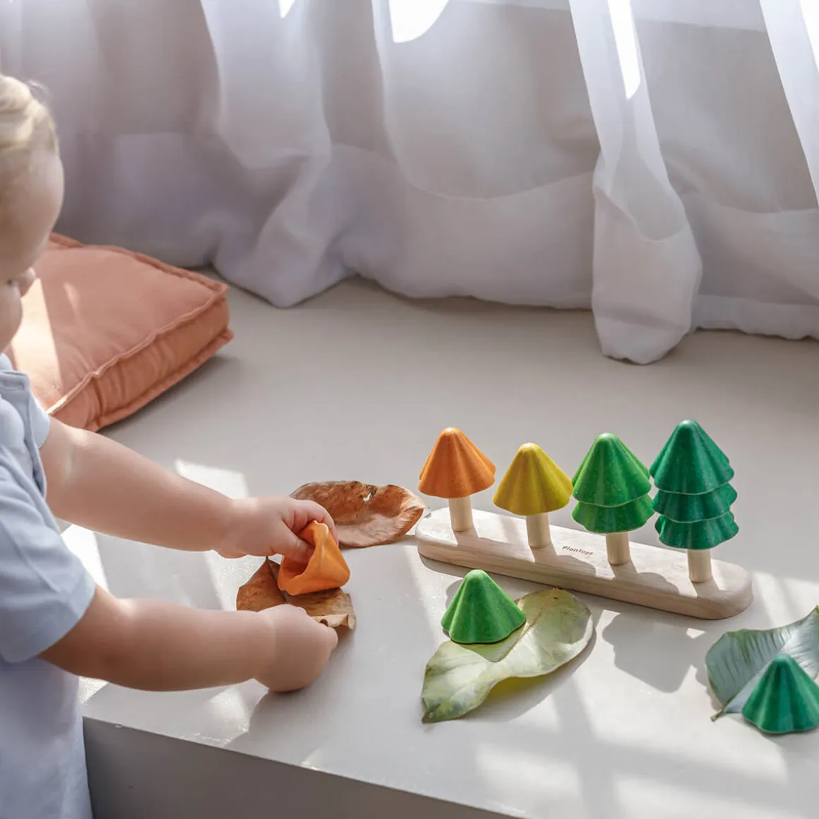 Sort And Count Trees by PlanToys