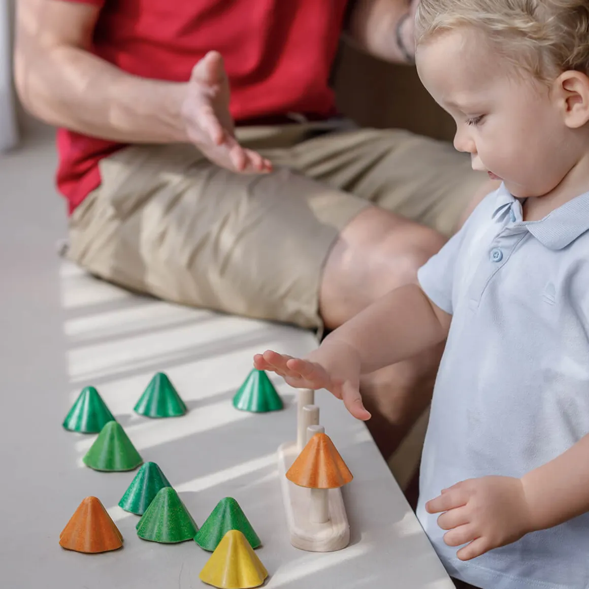 Sort And Count Trees by PlanToys