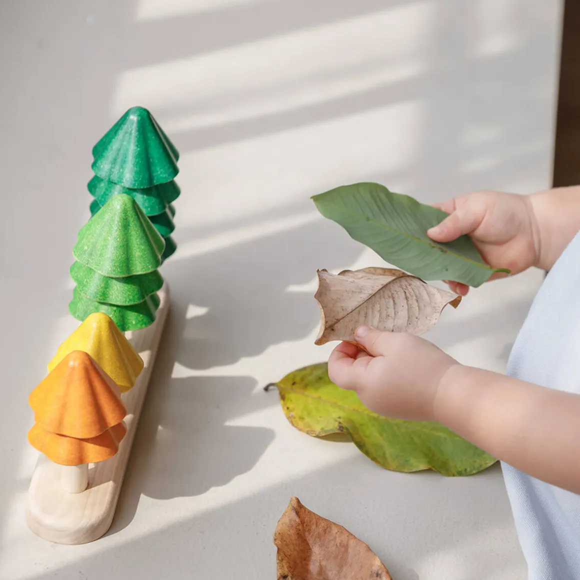 Sort And Count Trees by PlanToys