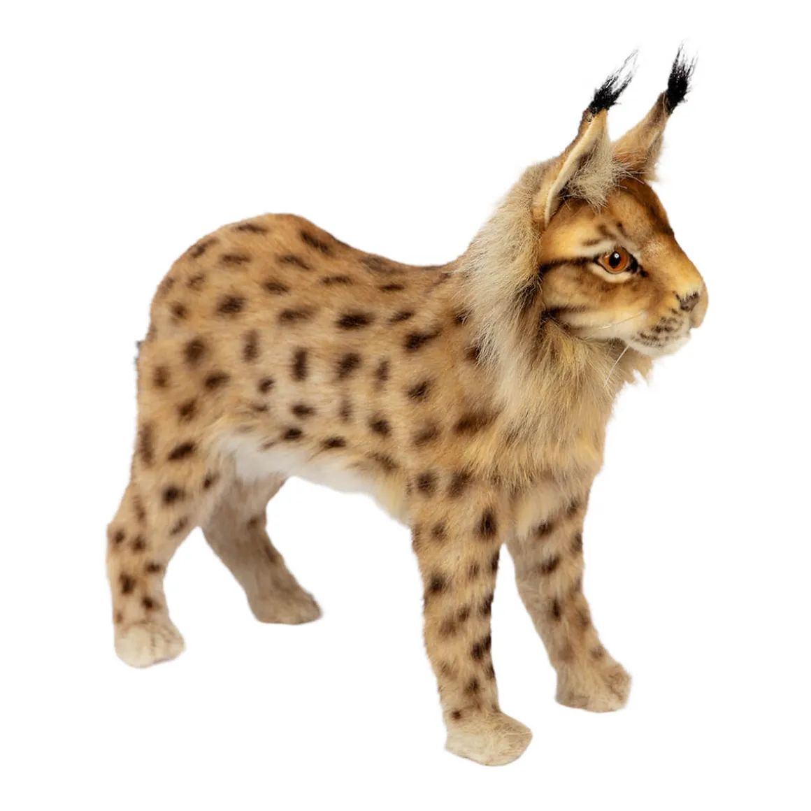 Standing Euresian Lynx (33cm) by Hansa