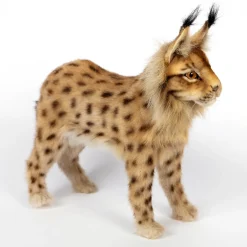 Standing Euresian Lynx (33cm) by Hansa