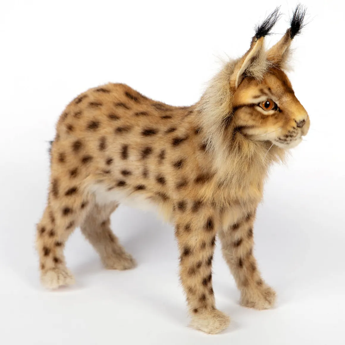 Standing Euresian Lynx (33cm) by Hansa