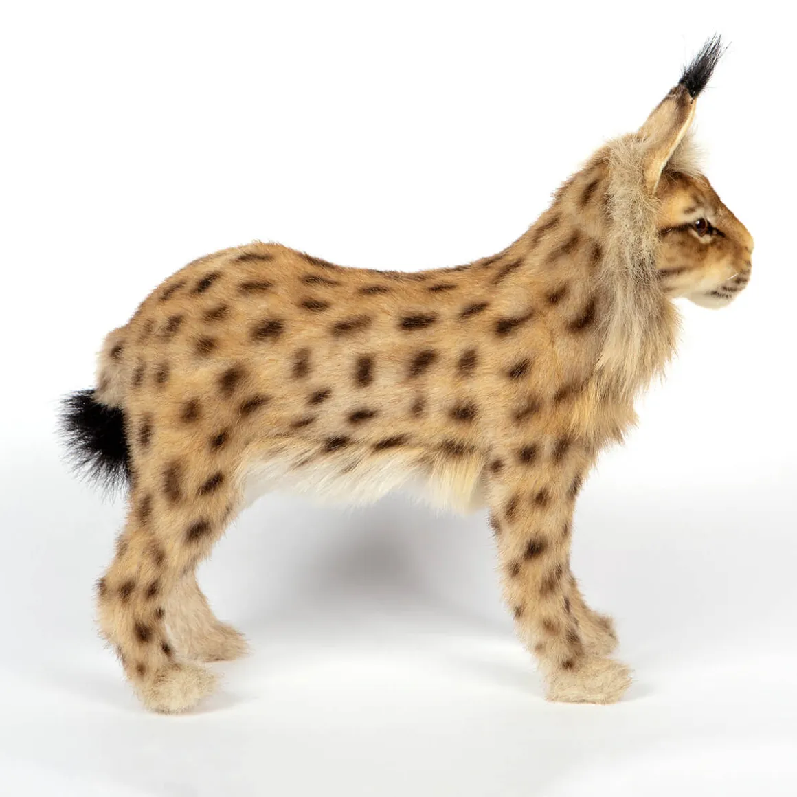 Standing Euresian Lynx (33cm) by Hansa
