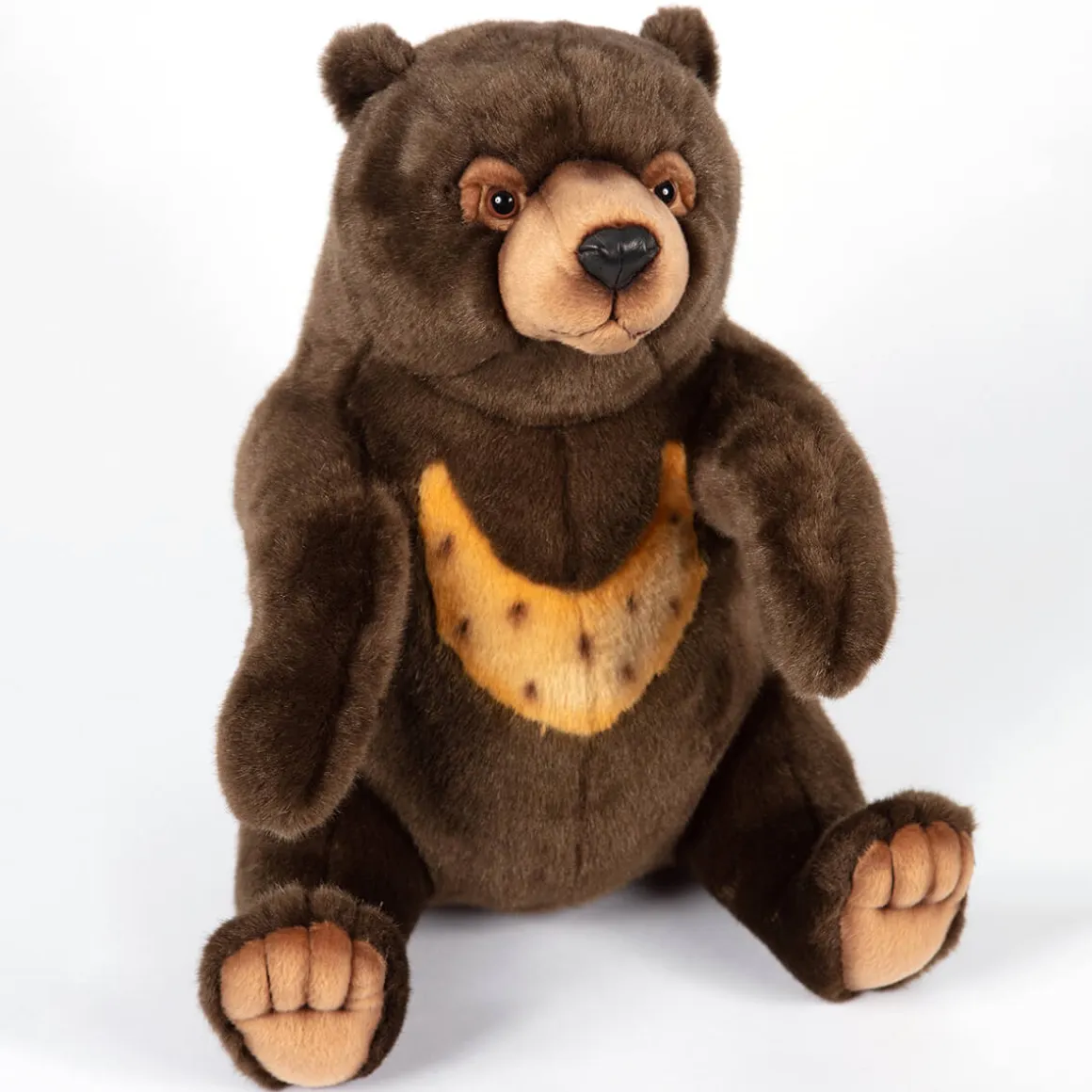 Sun Bear (41cm) by Hansa
