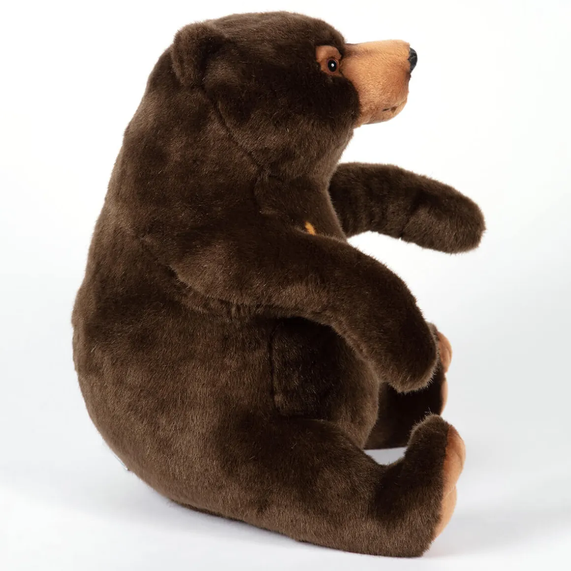 Sun Bear (41cm) by Hansa